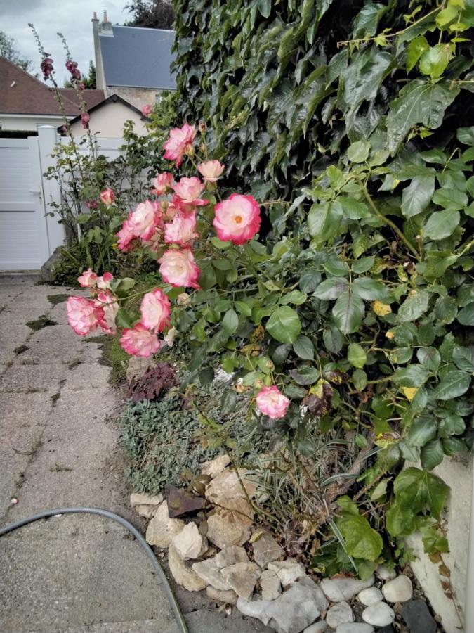 Hortensias Asnelles Exterior photo